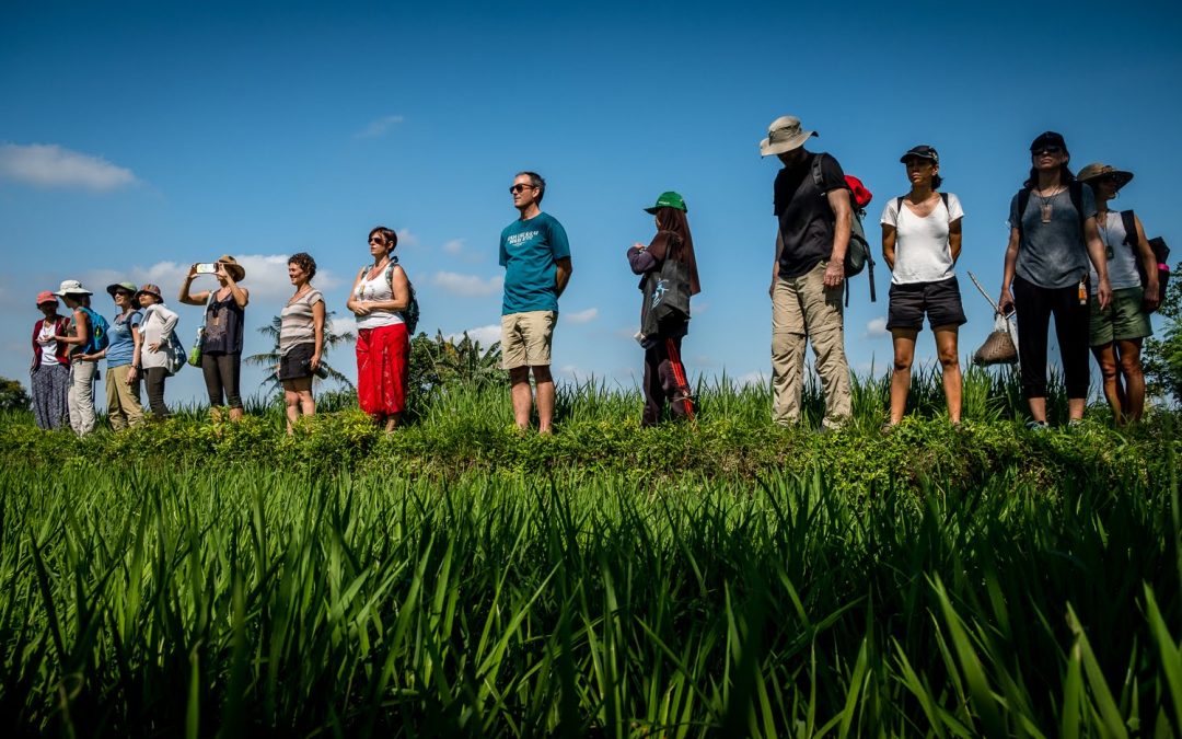 Connecting through Rice