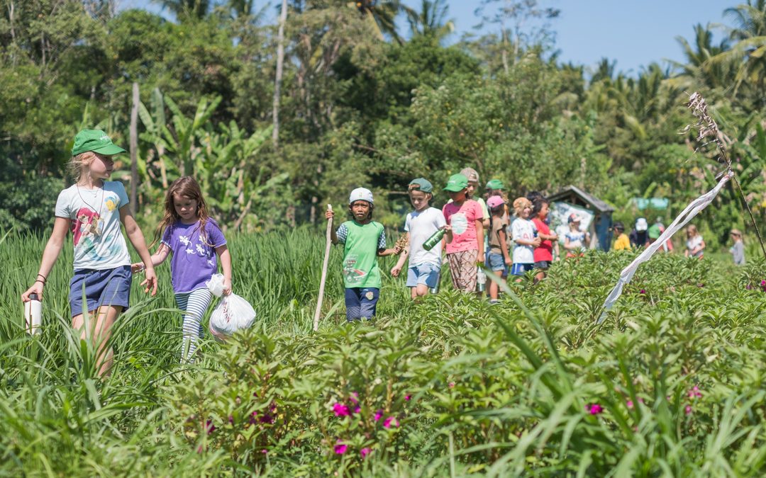 What is the Green School Curriculum?