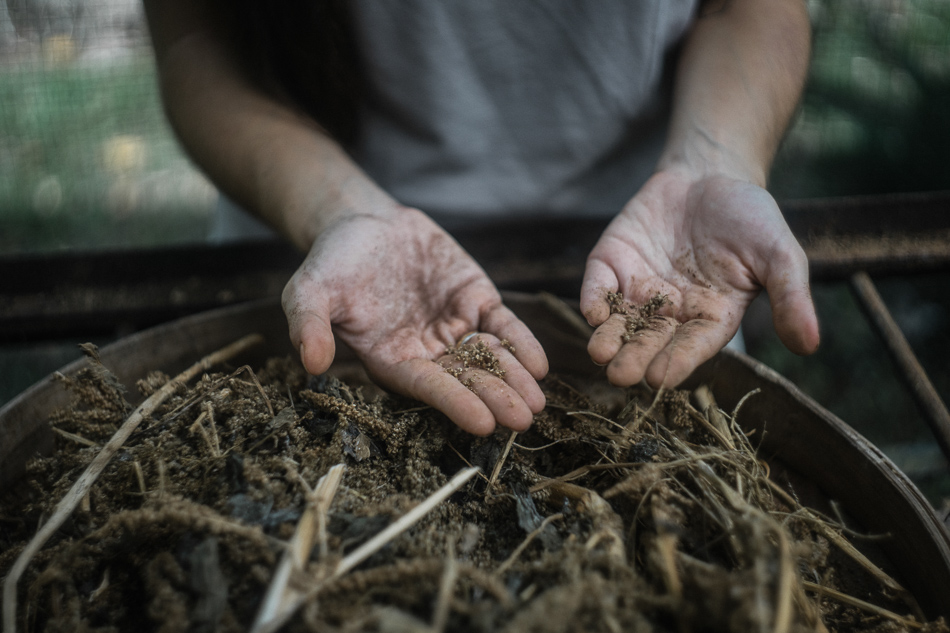 Feed your plants