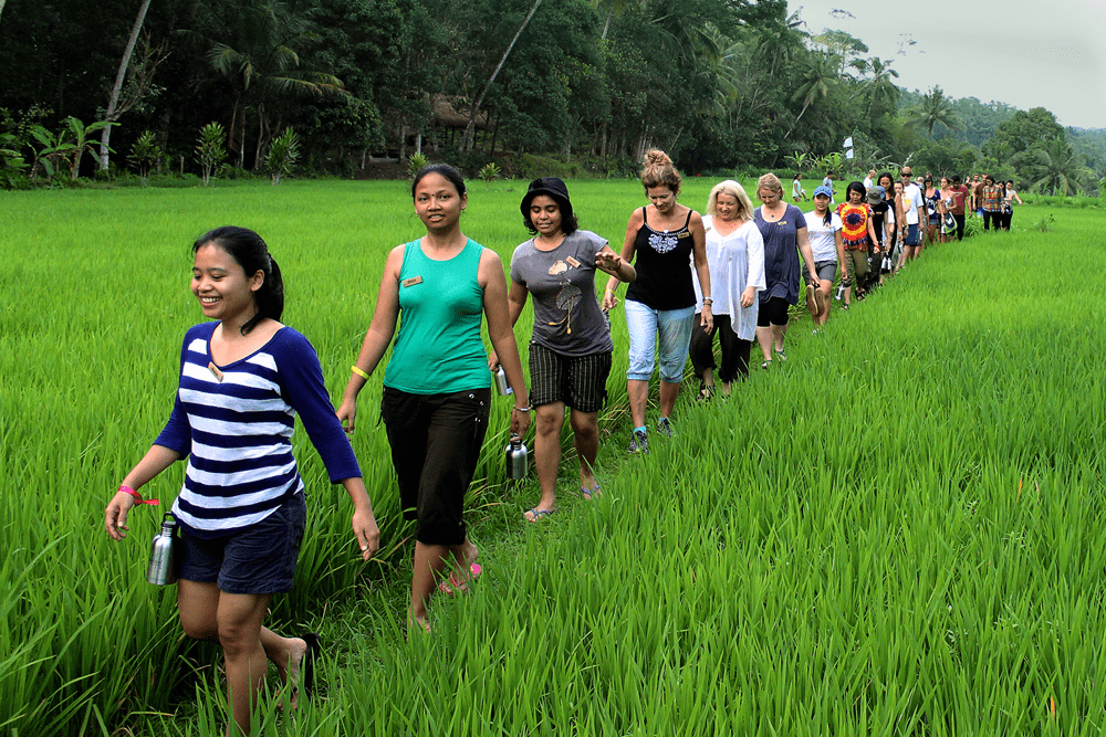 Green Educators Course Launches Online Foundation Program – 5th of June